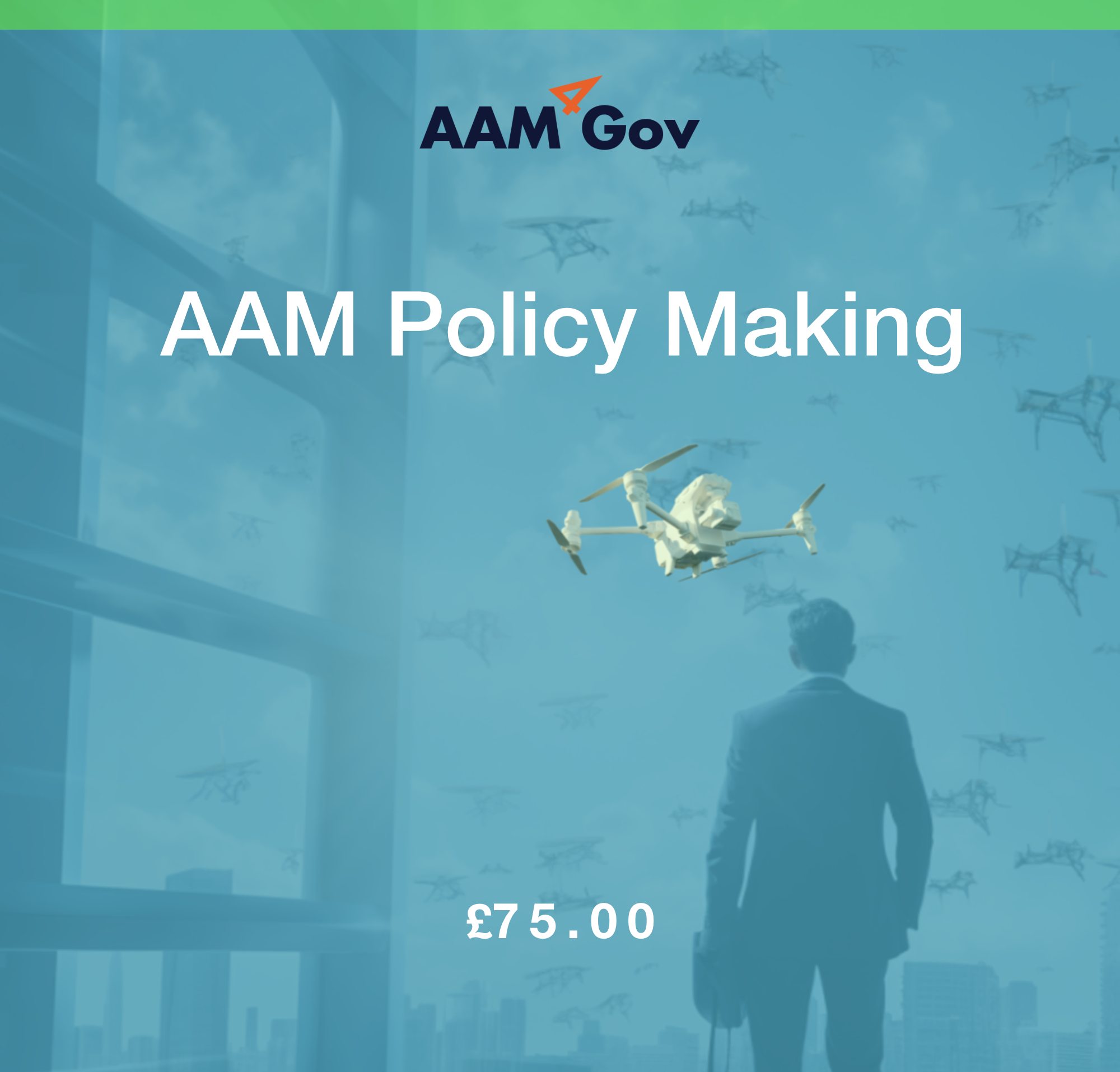 06 AAM Policy Making (Solo)